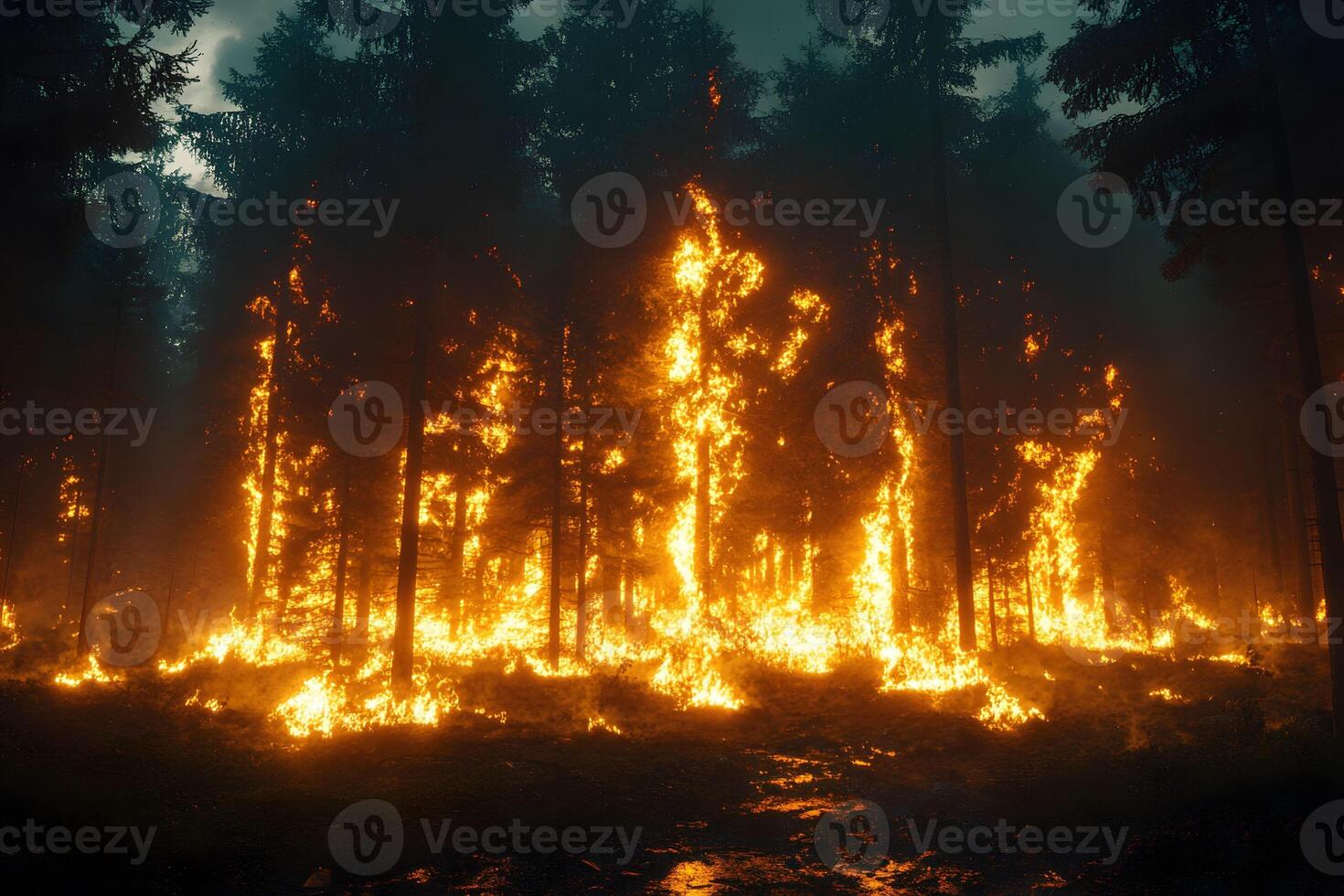 Intense Forest Fire in Dense Woodland at Night Environmental Impact and Nature's Fury photo