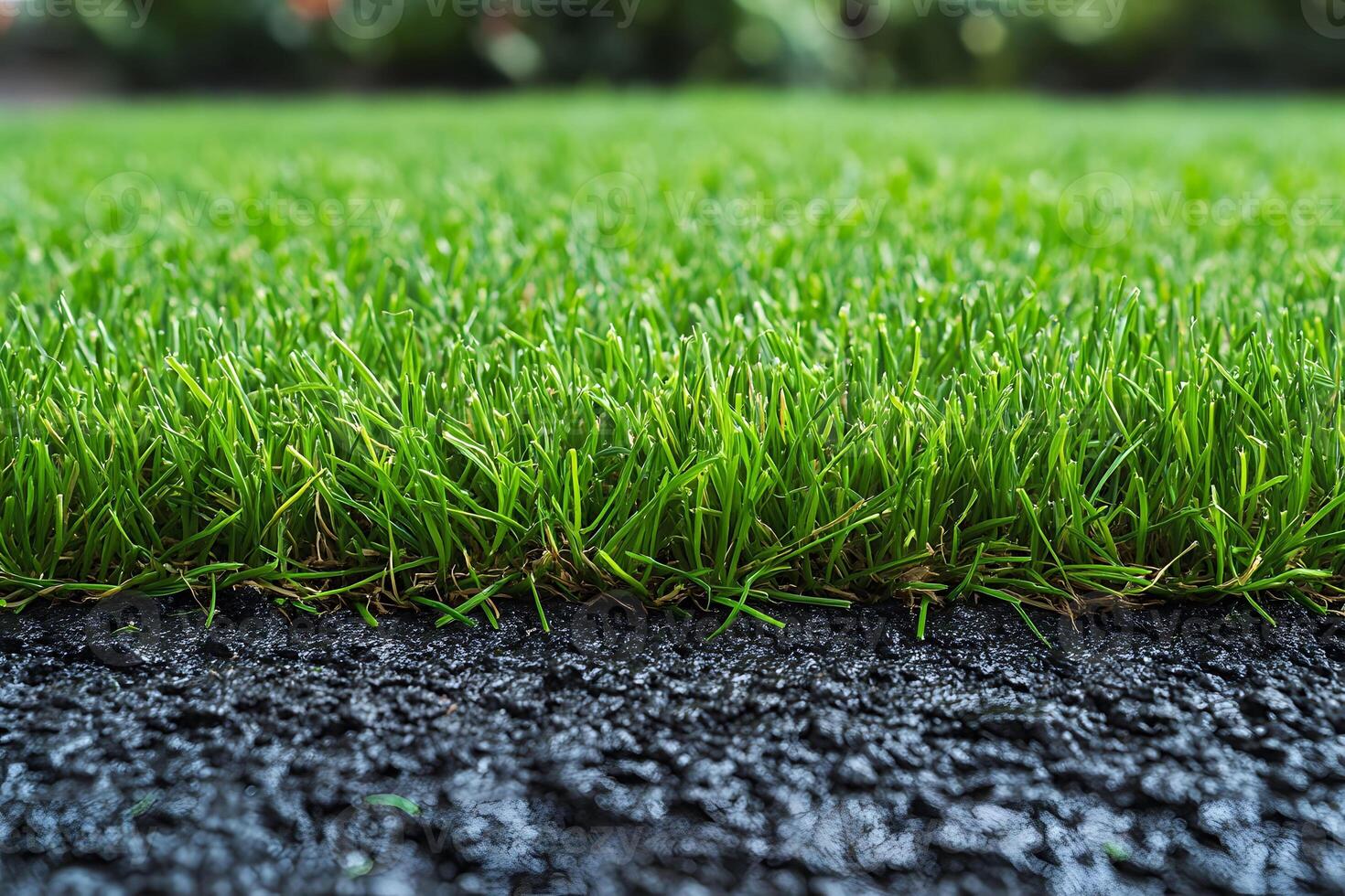 Lush Green Grass with Asphalt Contrast for Nature and Urban Design photo