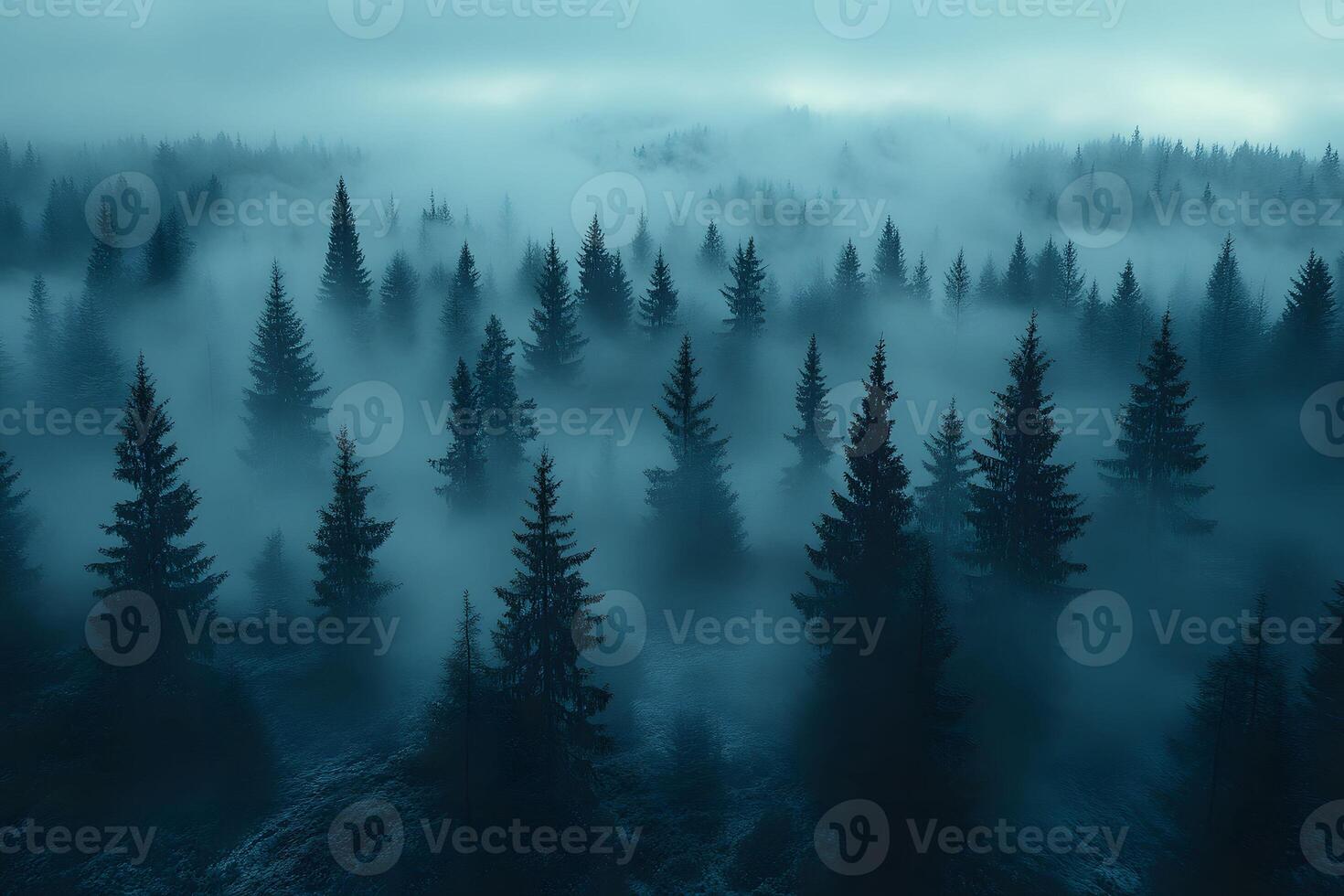 Misty Forest Morning Ethereal Landscape for Nature-themed Designs and Prints photo