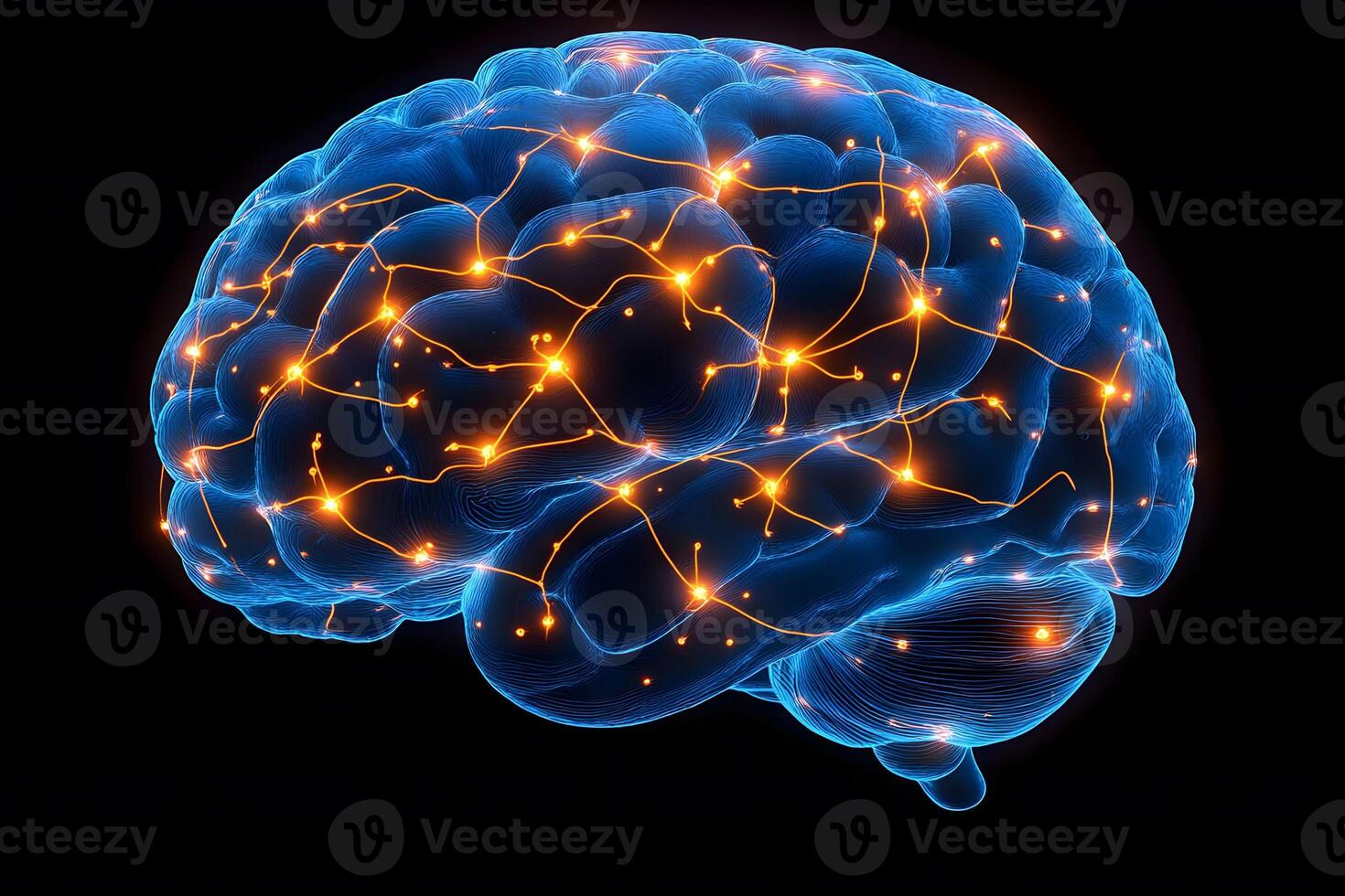 Digital Neural Network Visualization for Brain Science and AI Design photo