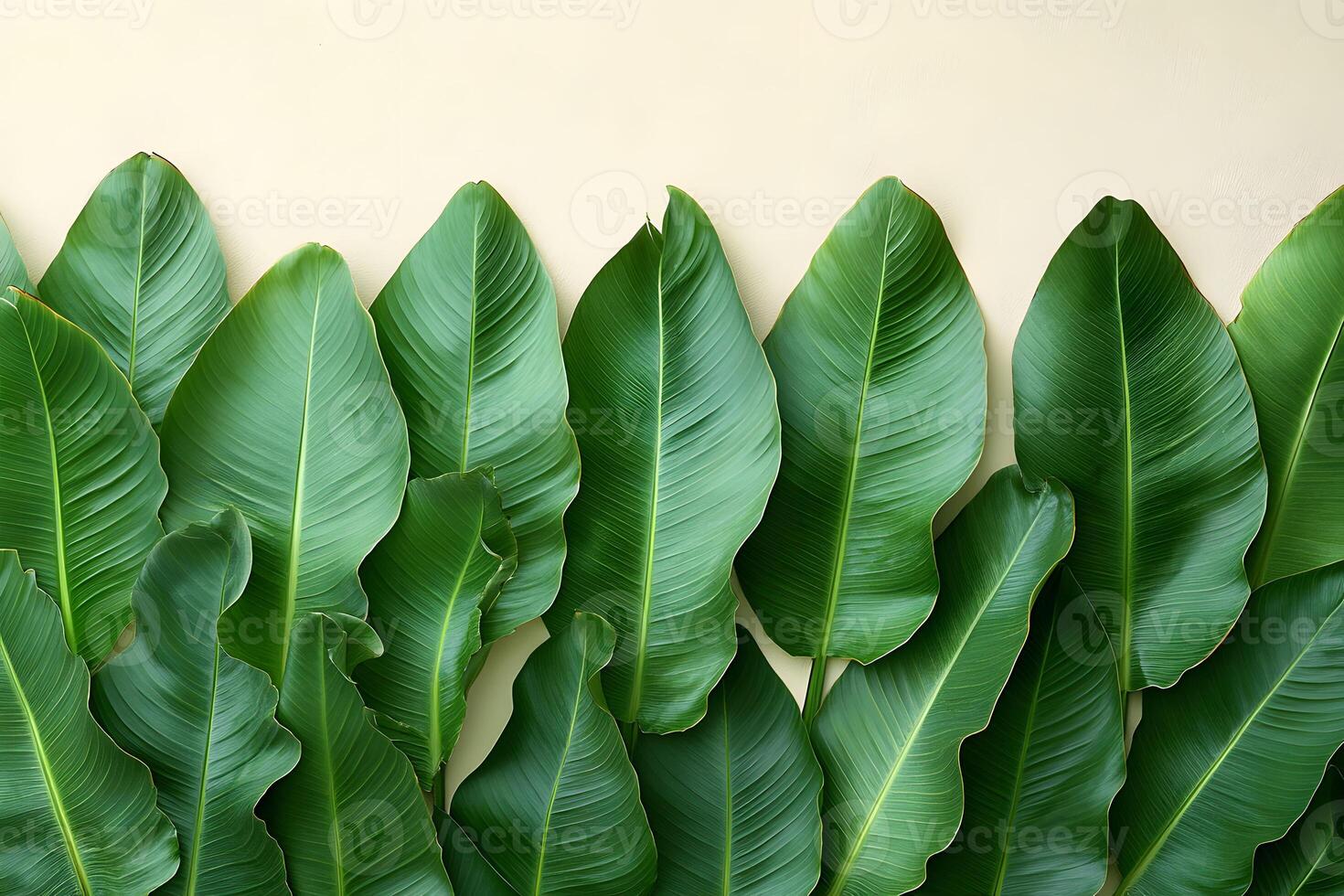 Tropical Banana Leaves Pattern for Nature-Themed Design and Decor photo