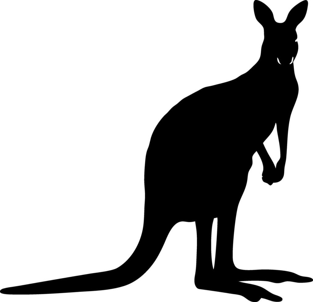Standing Kangaroo Silhouette Isolated on White Background Australian Wildlife vector