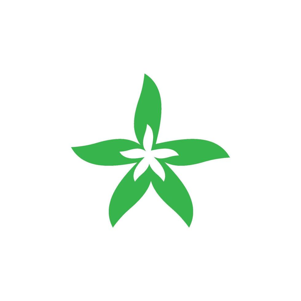 star leaf ecology concept icon of go green vector