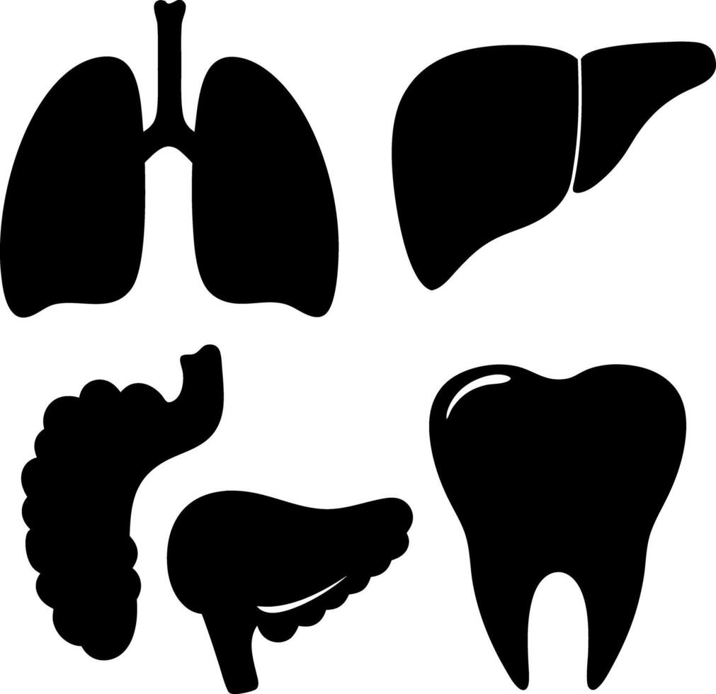 Isolated Black Silhouettes Human Lungs, Liver, Intestines, Pancreas, and Tooth Set vector