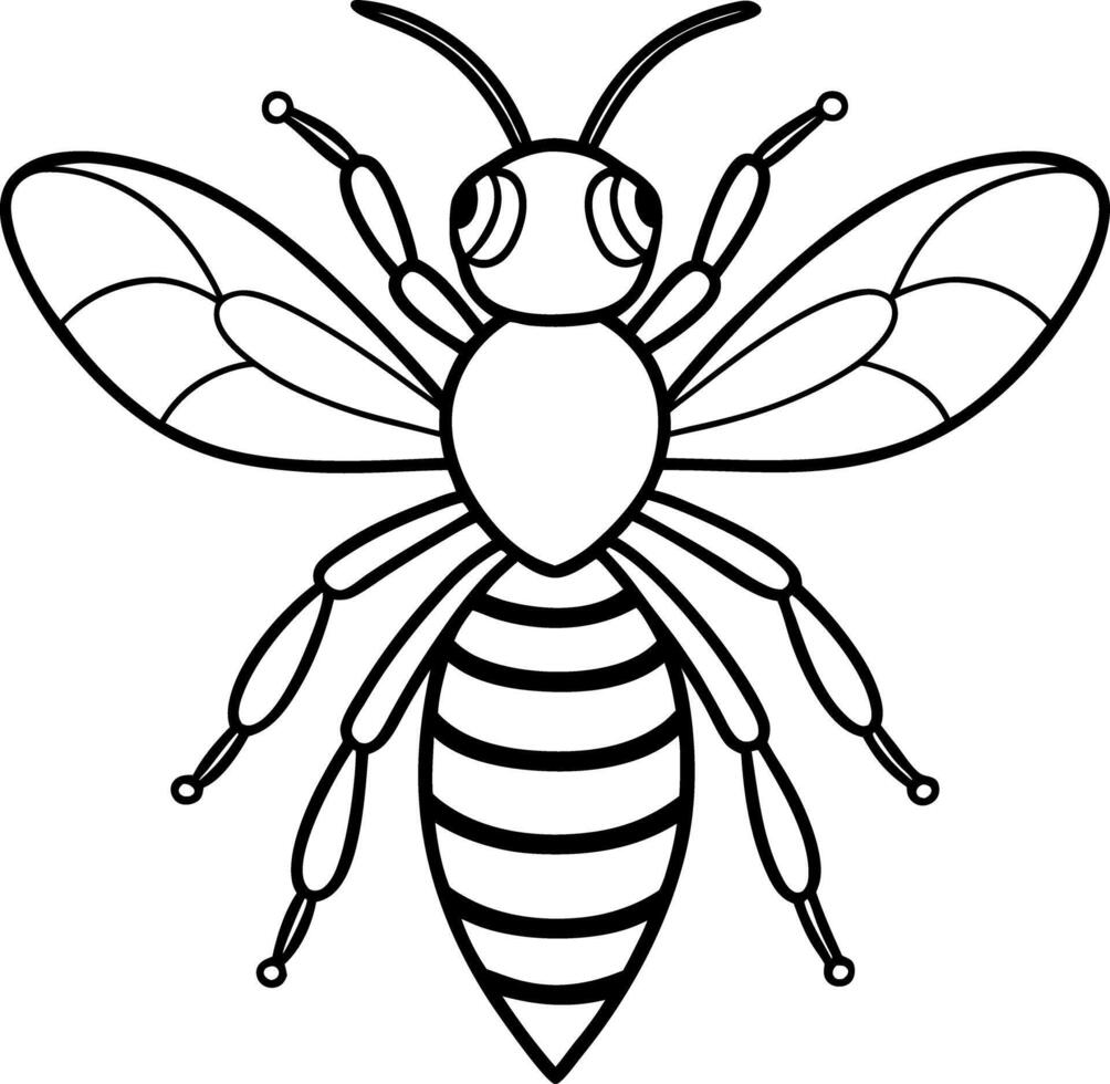 Line Art of Honeybee with Wings, Isolated, White Background, Detailed, Black Outlines vector