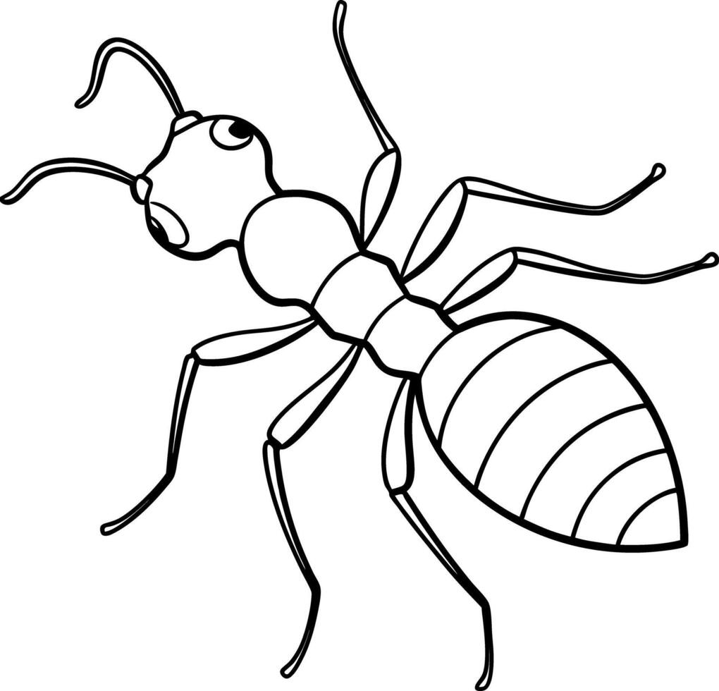 Outline Detailed Ant Design With Legs and Antennae On White Background vector