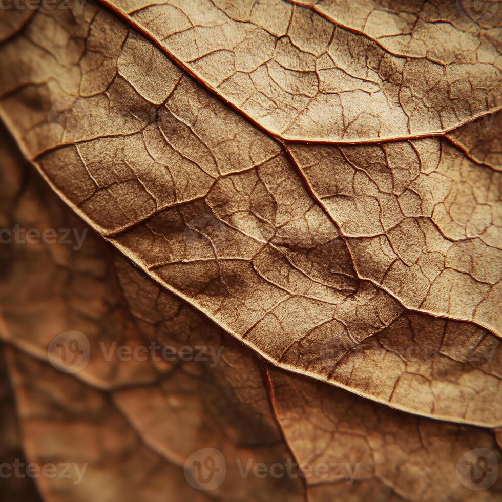 Intricate Texture of a Tobacco Leaf Captured in Stunning Macro Photography photo