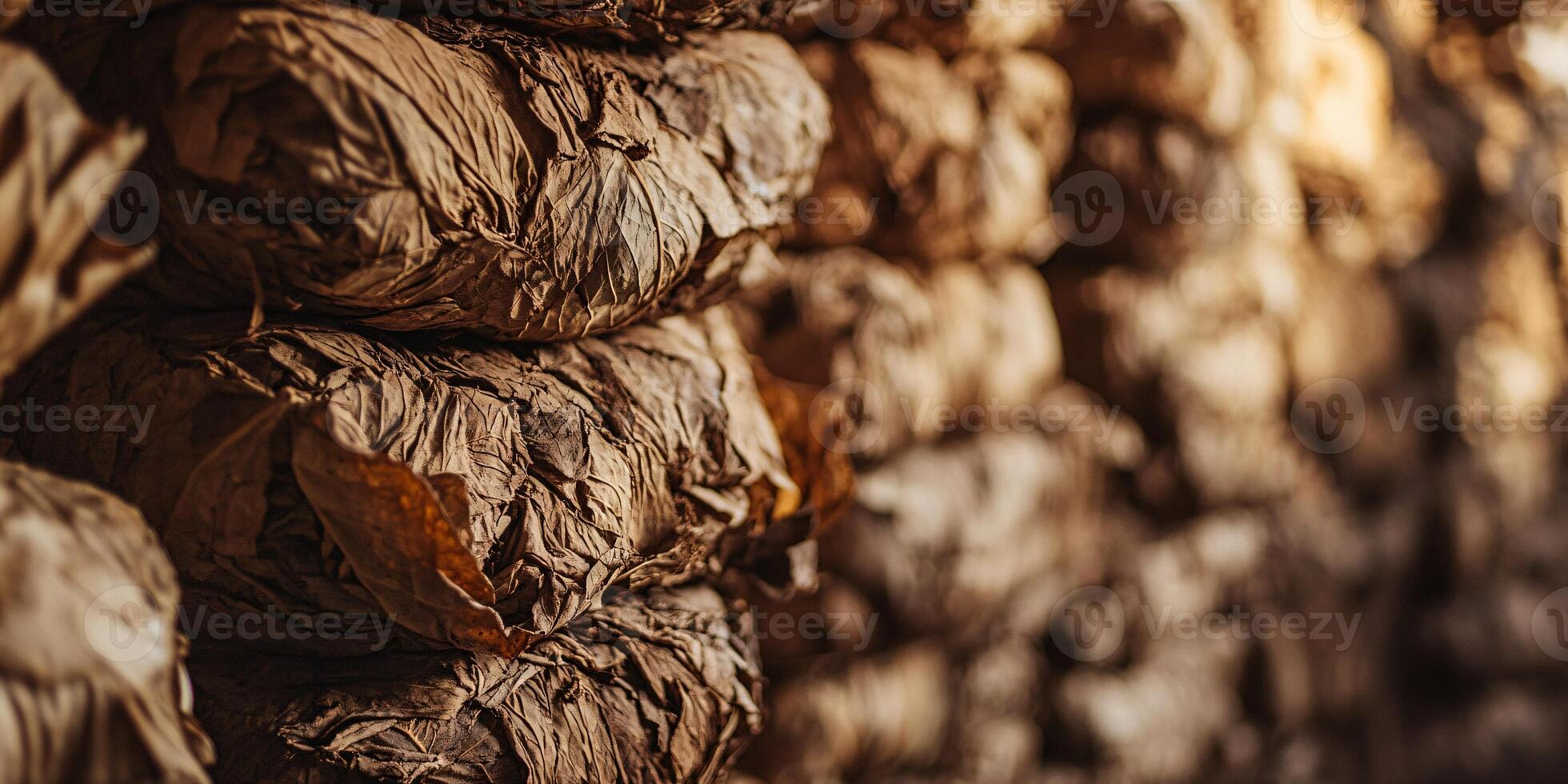 Tobacco Leaves Undergoing Compression into Neatly Bundled Bales for Shipping photo