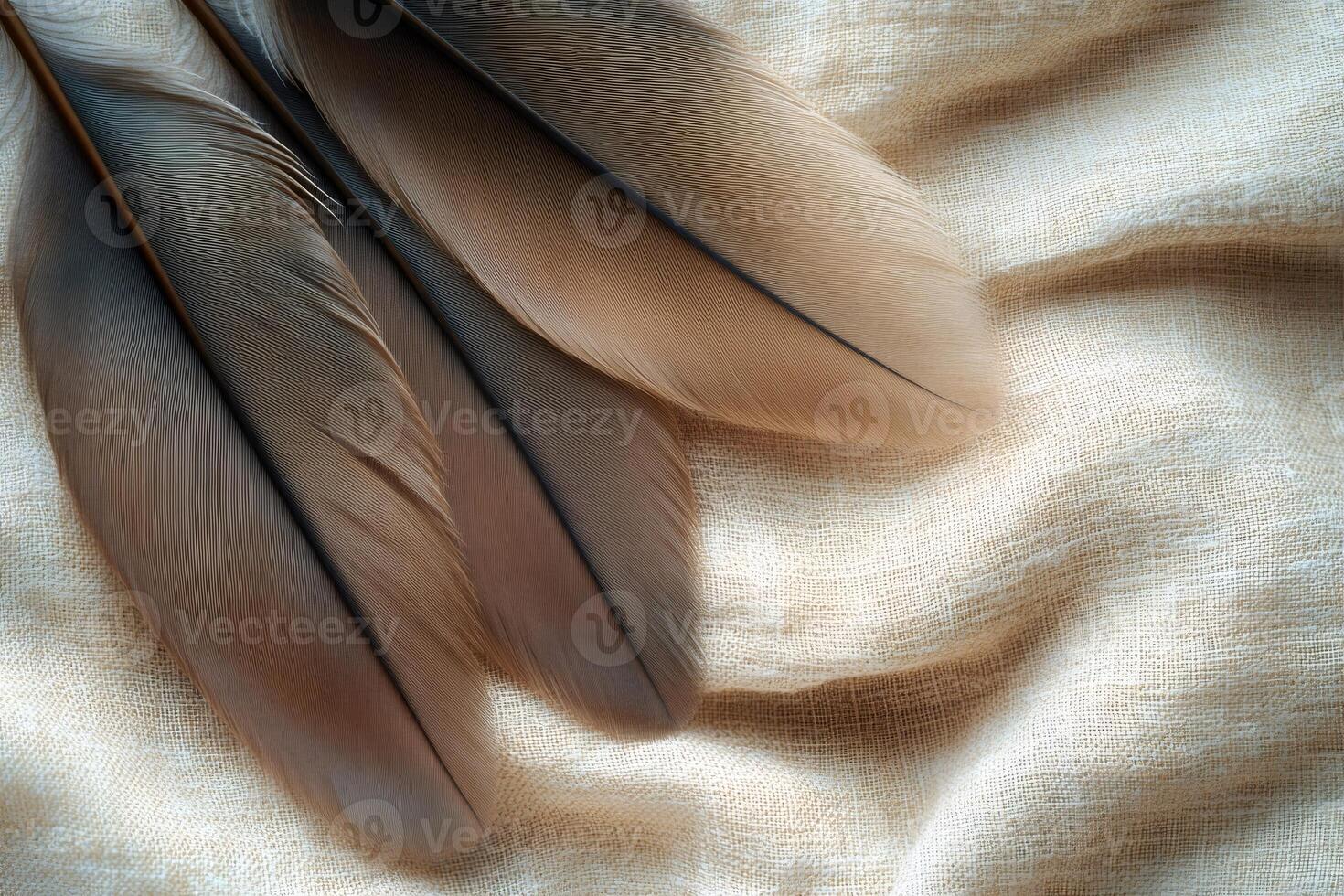 Three brown feathers resting on beige linen fabric photo