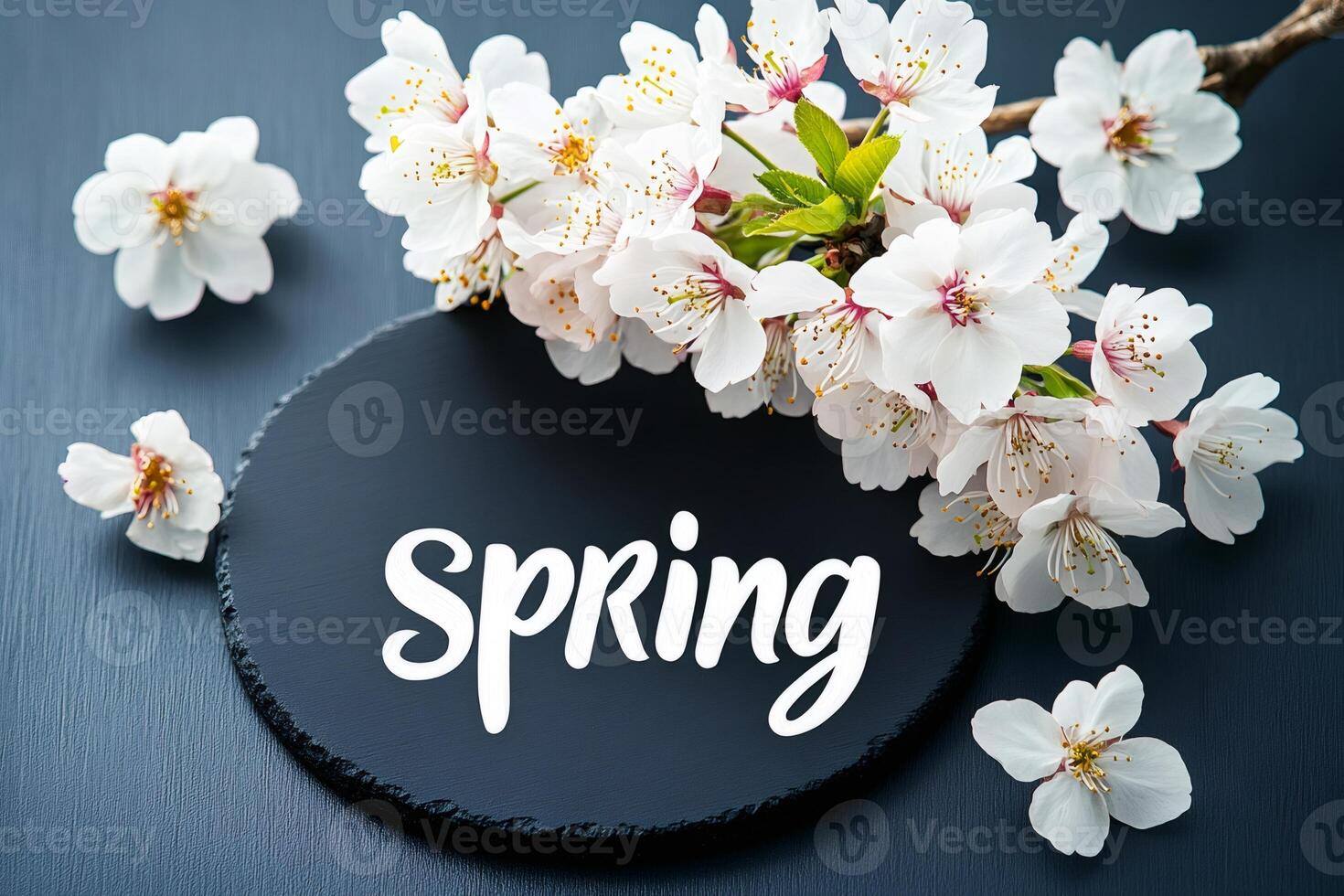 Spring flowers on dark background with spring text photo