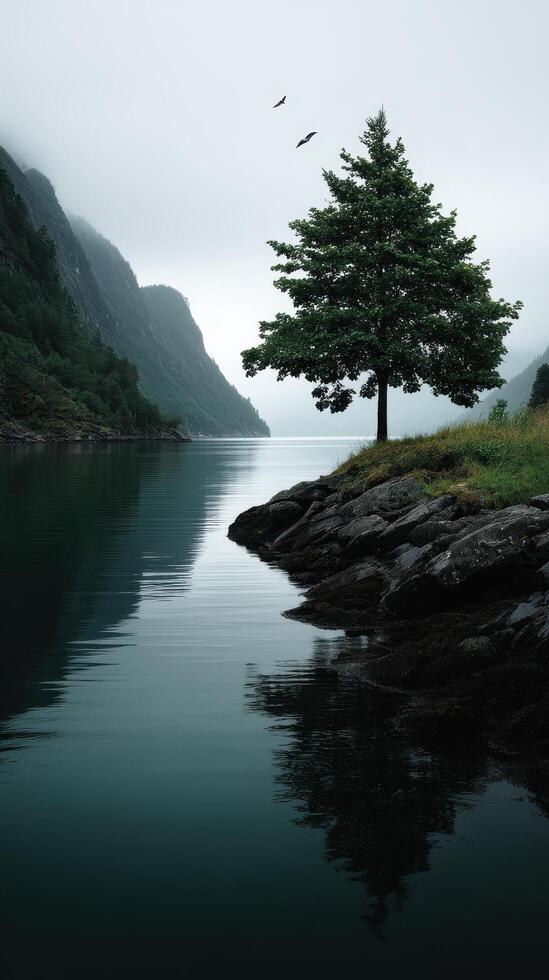 Serene reflection of a lone tree by a tranquil lake nature photography misty landscape calm scene photo