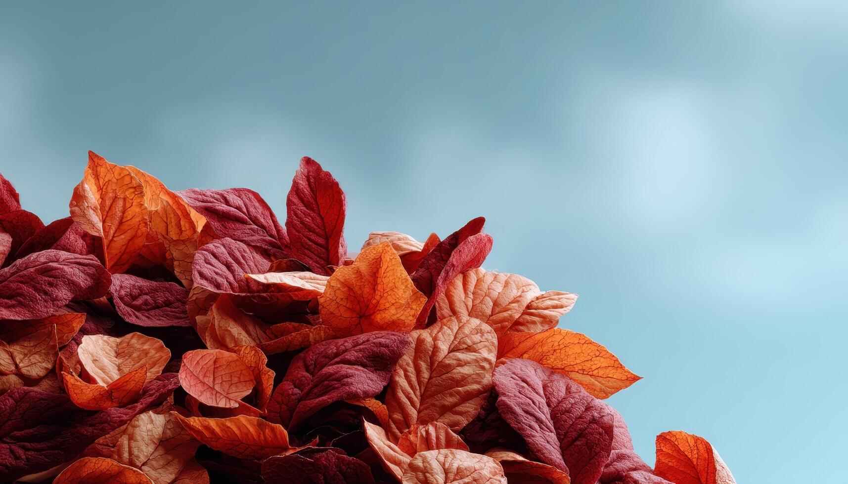 Aerial view of neatly stacked dry leaves nature scene calm environment serene concept photo