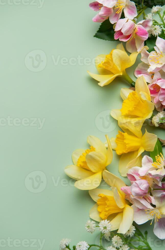 Daffodils and pink flowers creating a vibrant spring border on pastel green background photo