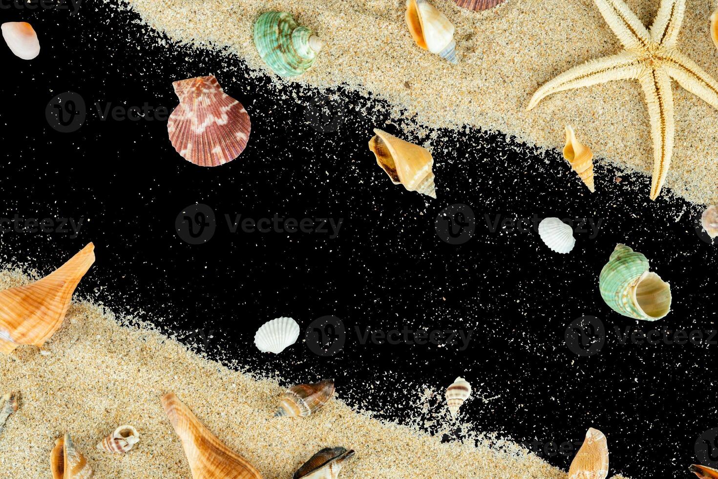 summer beach copy space shell decoration photo