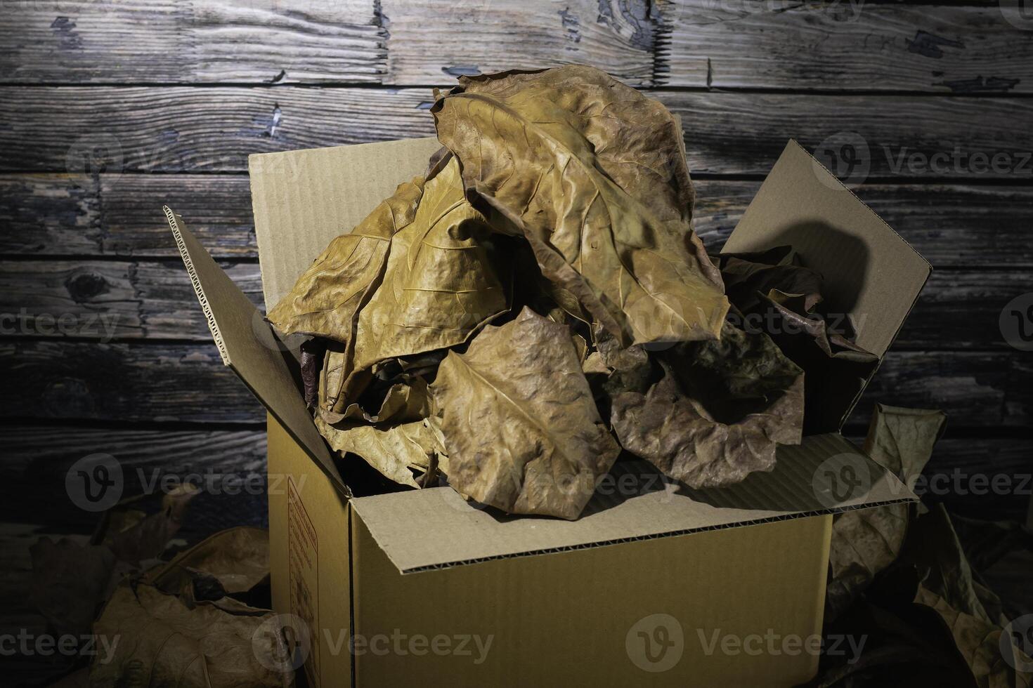 A pile of dry, brown leaves in a box photo