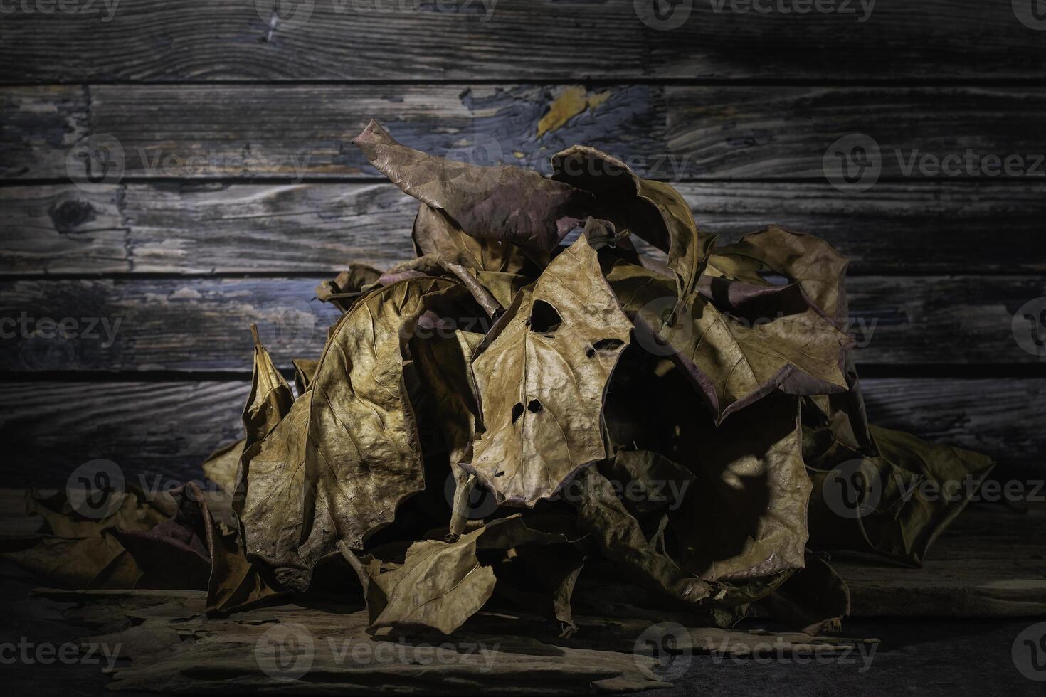 A pile of dry brown leaves photo