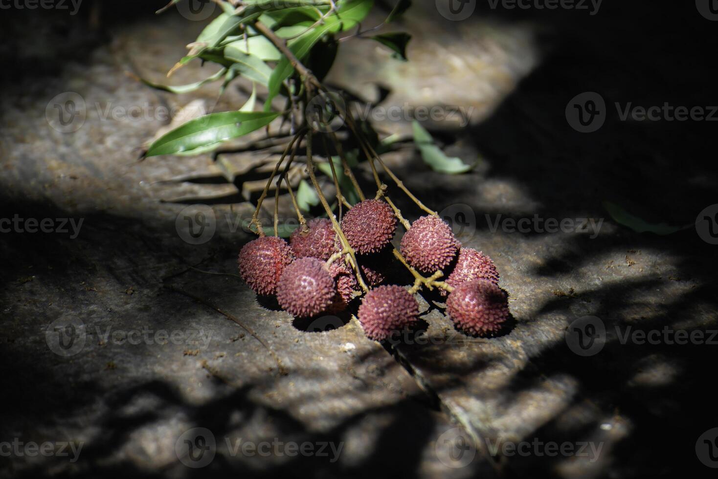 Lychee, a fruit in g,v'Thailand, has a sour and sweet taste. photo