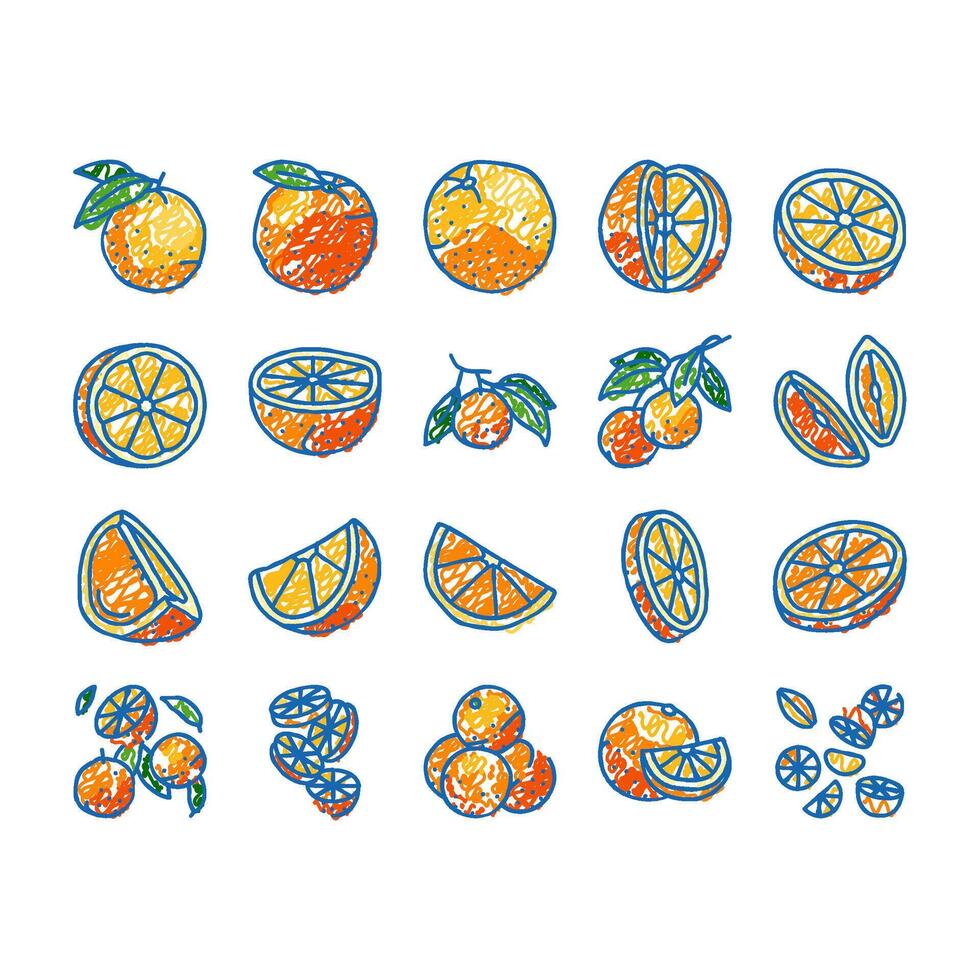 orange citrus fresh slice juice icons hand drawn vector