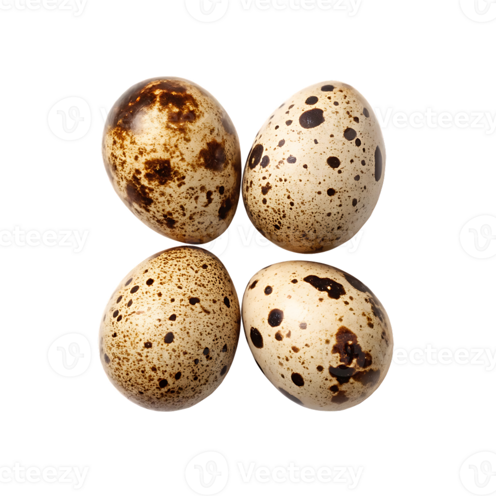 Four speckled quail eggs arranged in a square. png
