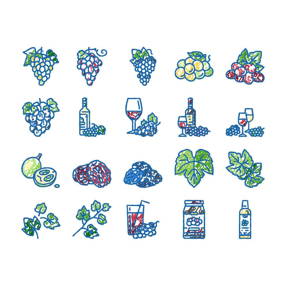grape wine bunch fruit green icons hand drawn vector