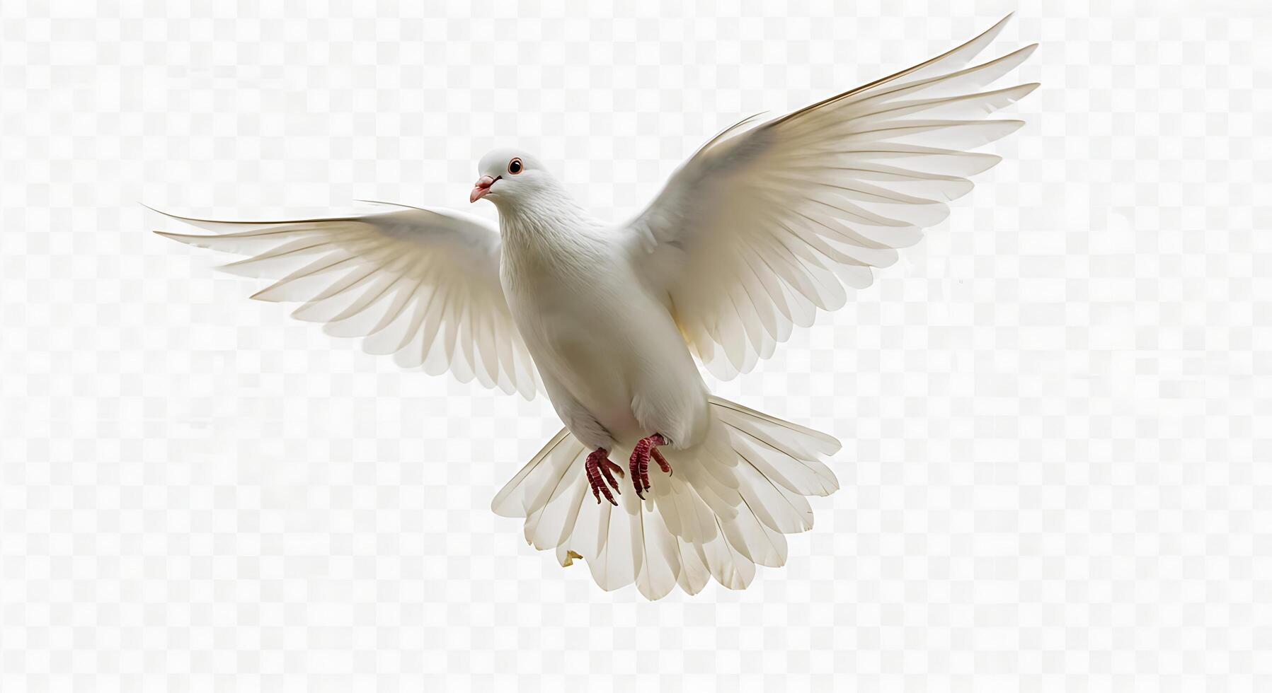 A white dove flying in the air on a transparent background photo