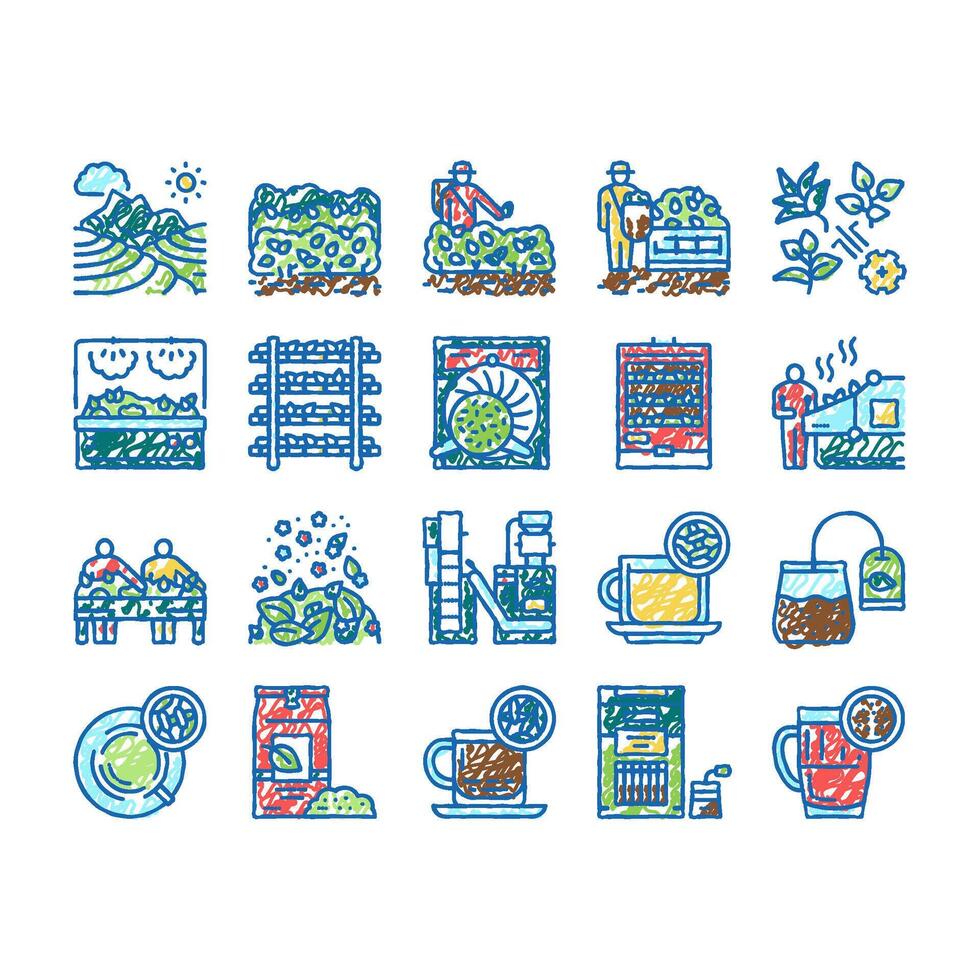 Tea Drink Production set Icons hand drawn vector