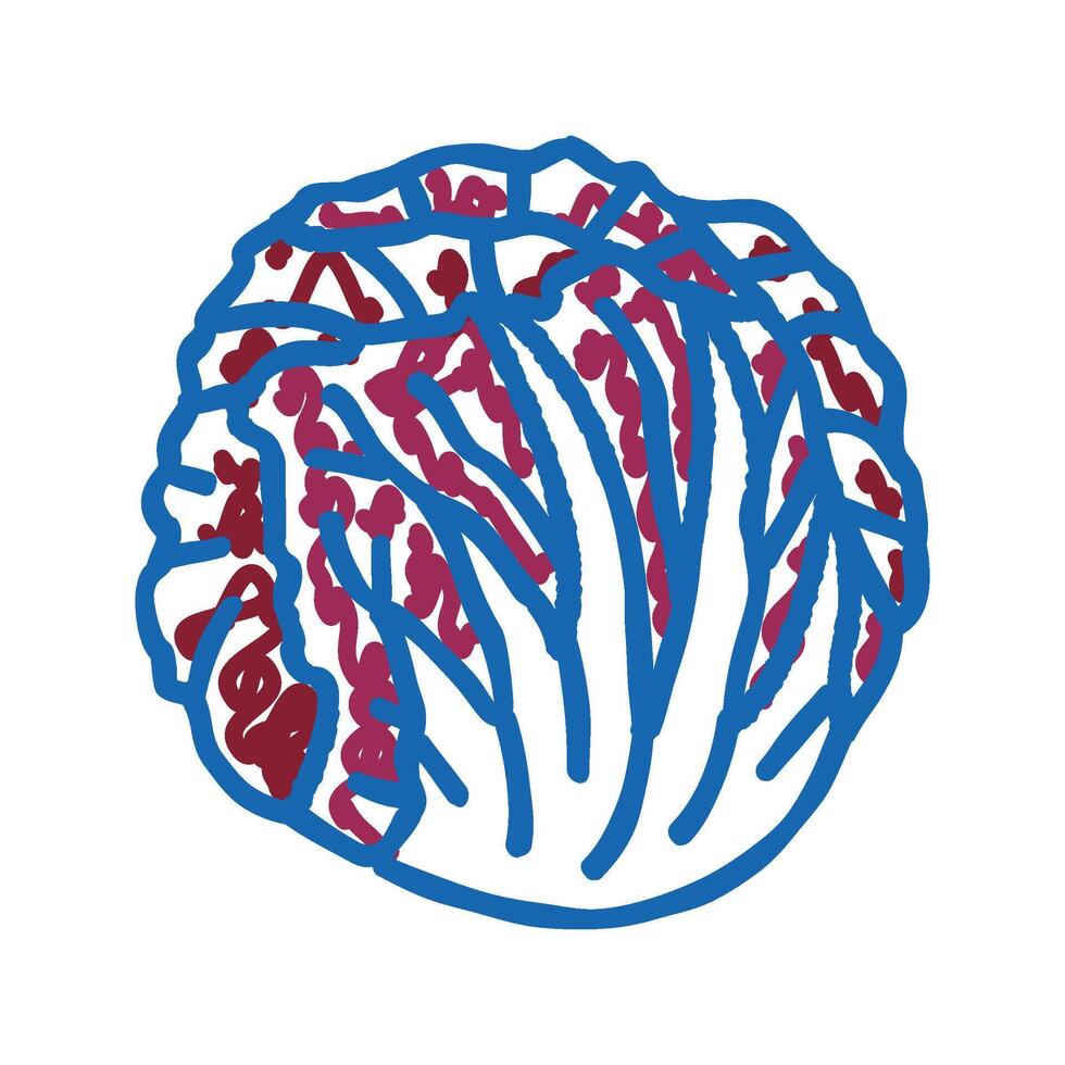 radicchio salad food icon doodle illustration vector