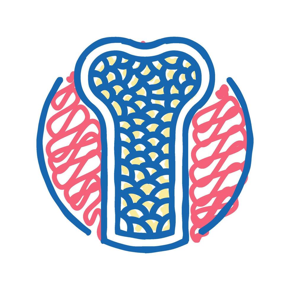 porous bone osteoporosis icon doodle illustration vector