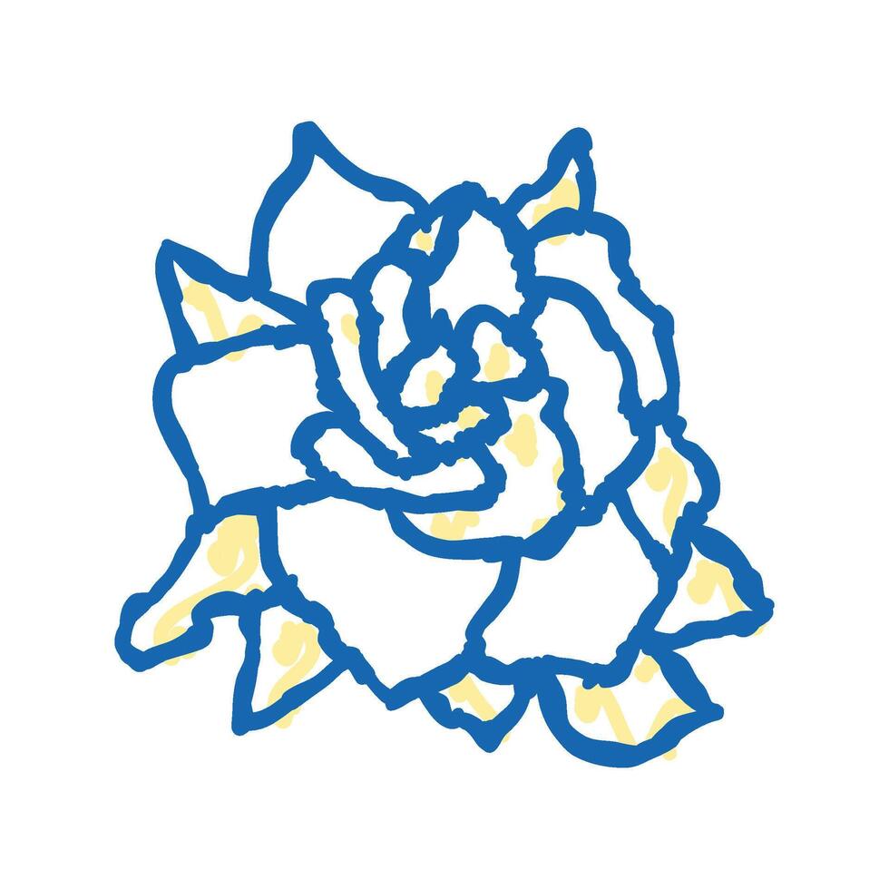 gardenia blossom spring icon doodle illustration vector