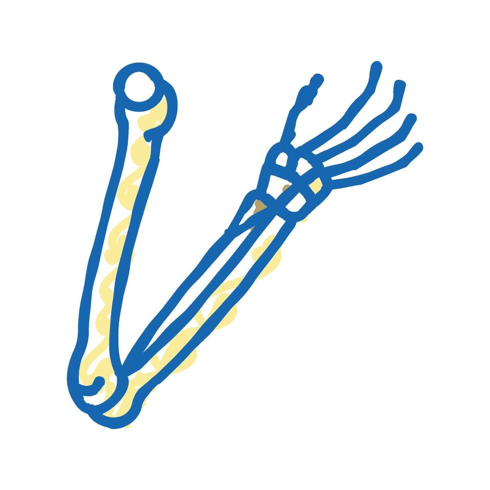 arms bone icon doodle illustration vector