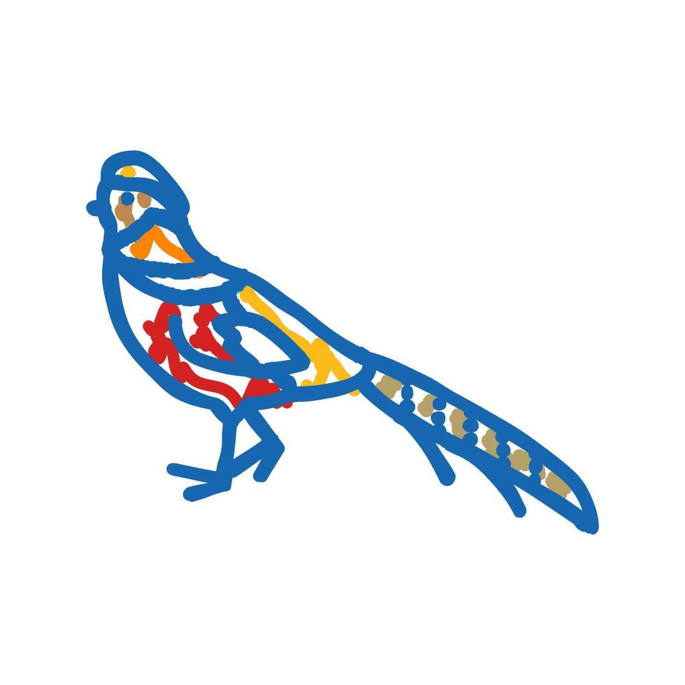 golden pheasant bird exotic icon doodle illustration vector