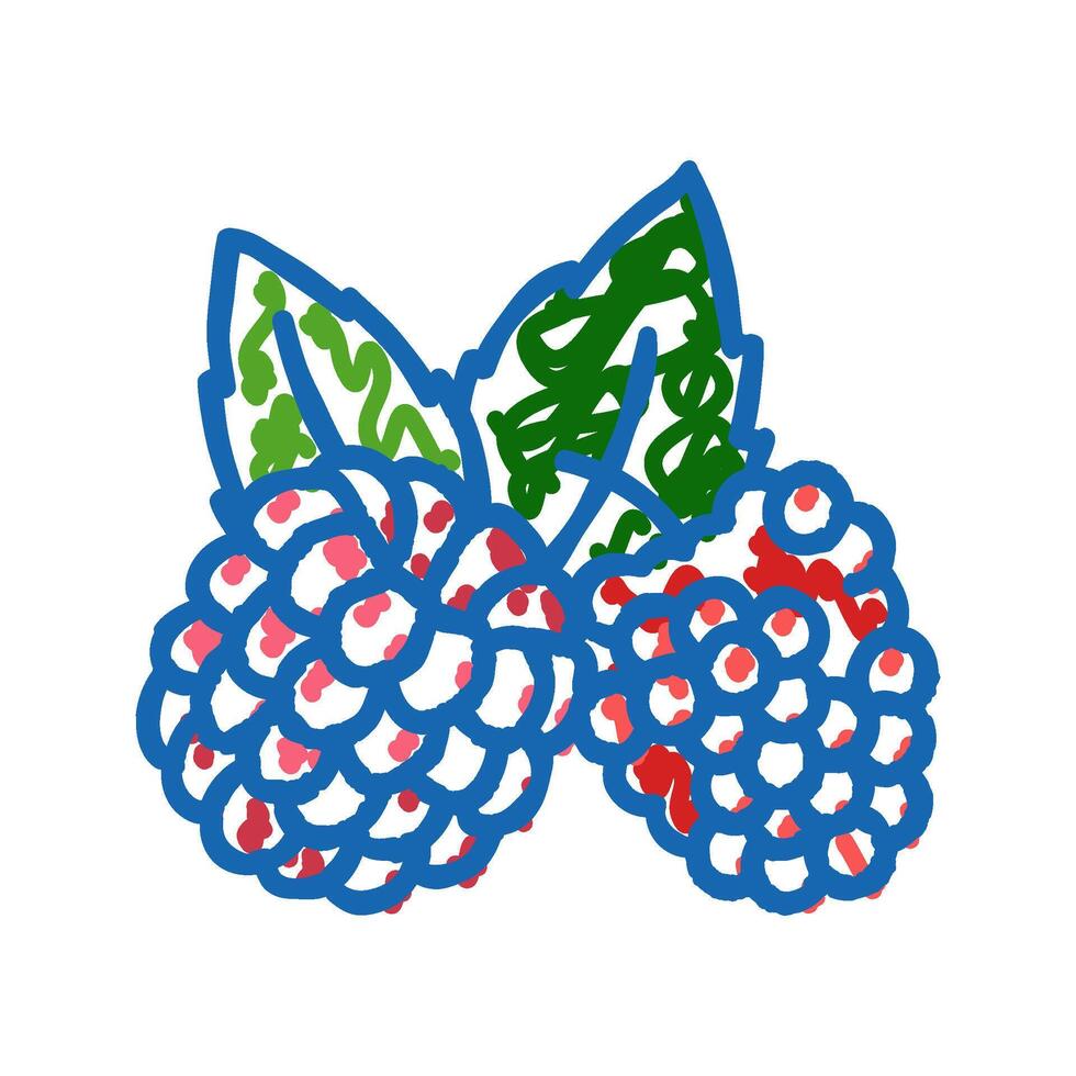 raspberry plant leaf fresh icon doodle illustration vector