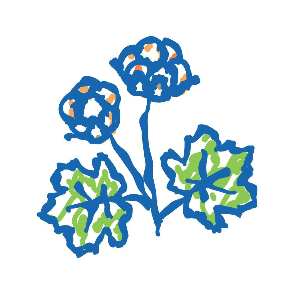 cloudberry berry icon doodle illustration vector