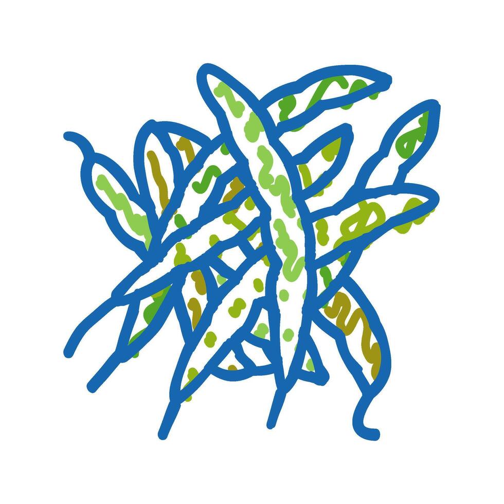 green bean natural icon doodle illustration vector