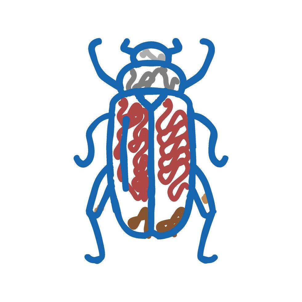 chafer insect icon doodle illustration vector