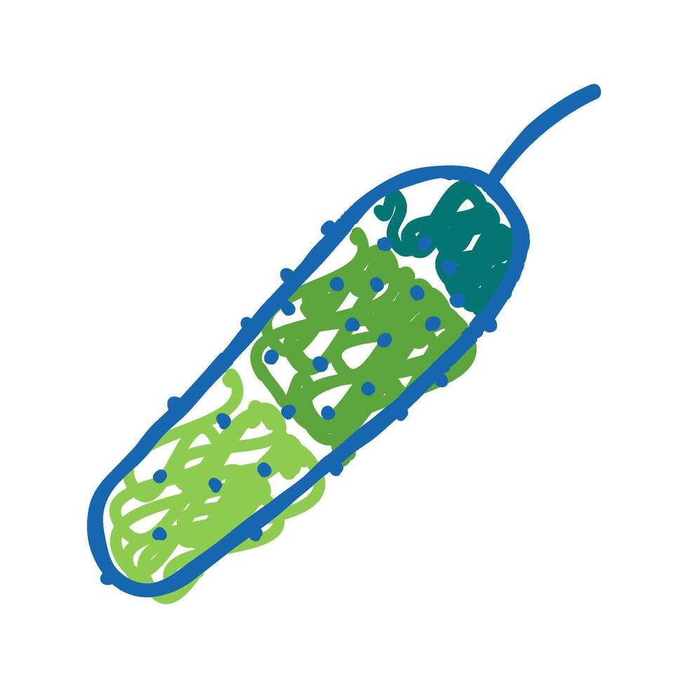 cucumber vitamin vegetable icon doodle illustration vector