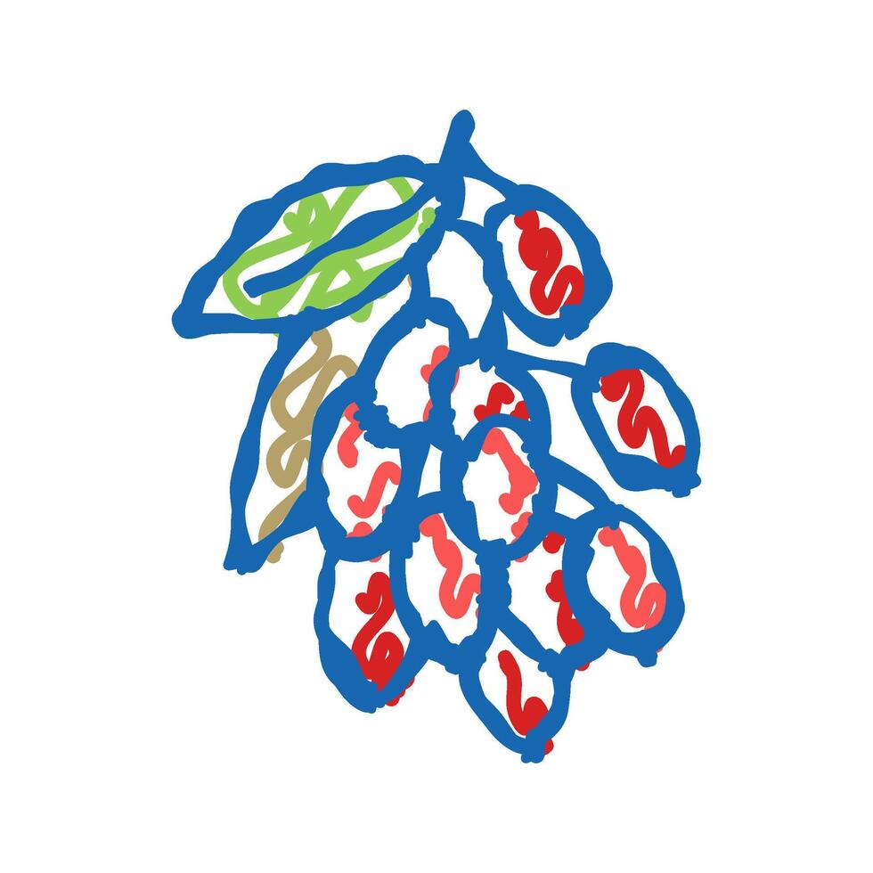 goji berry and leaves icon doodle illustration vector