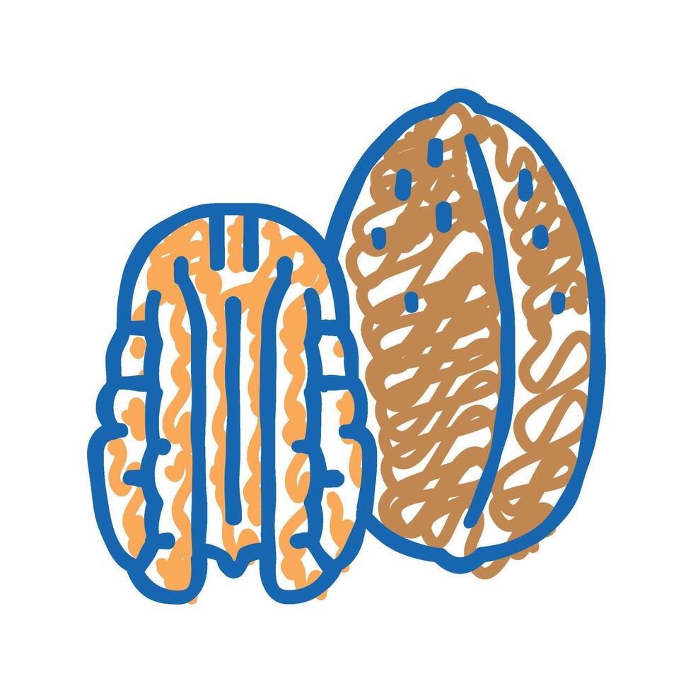 pecan nut icon doodle illustration vector