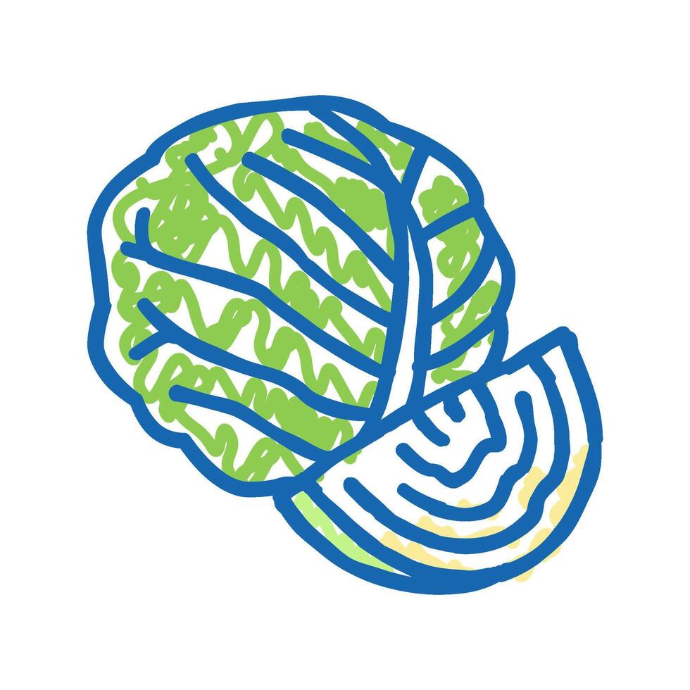 cabbage healthy vegetable icon doodle illustration vector