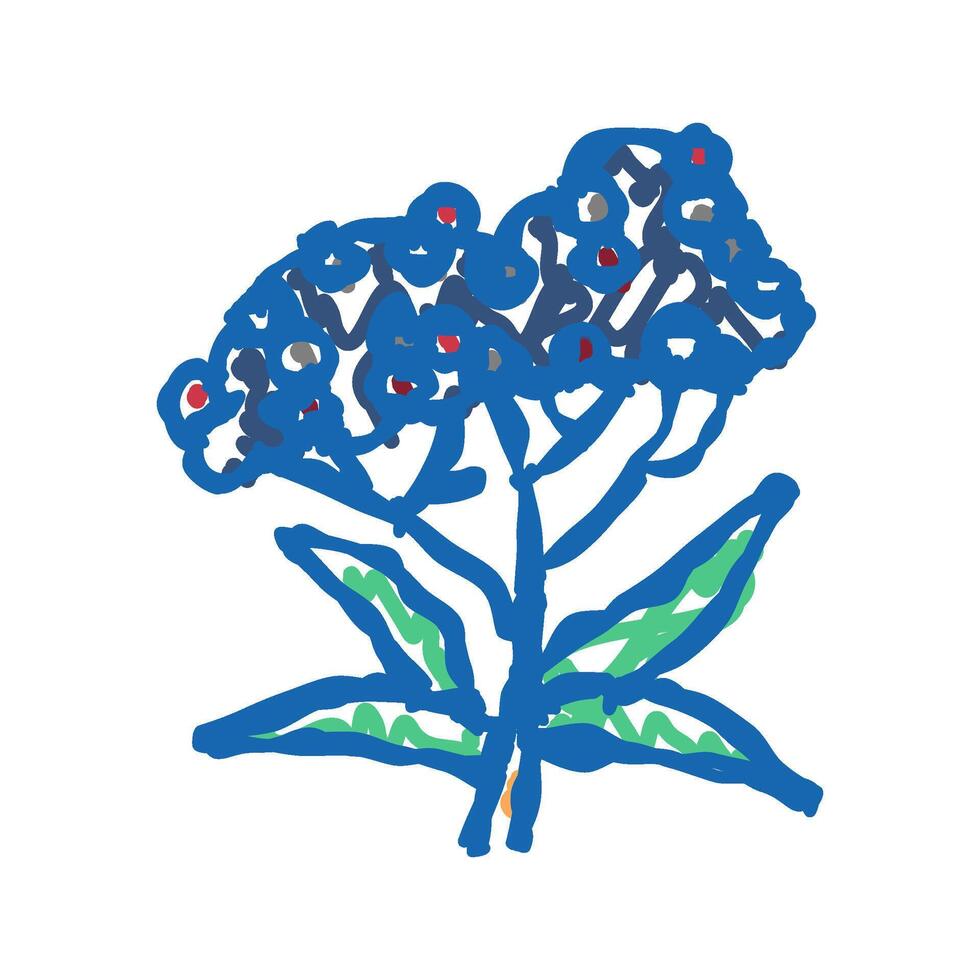 elderberry tree branch icon doodle illustration vector