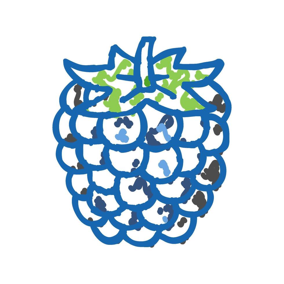 ripe blackberry icon doodle illustration vector