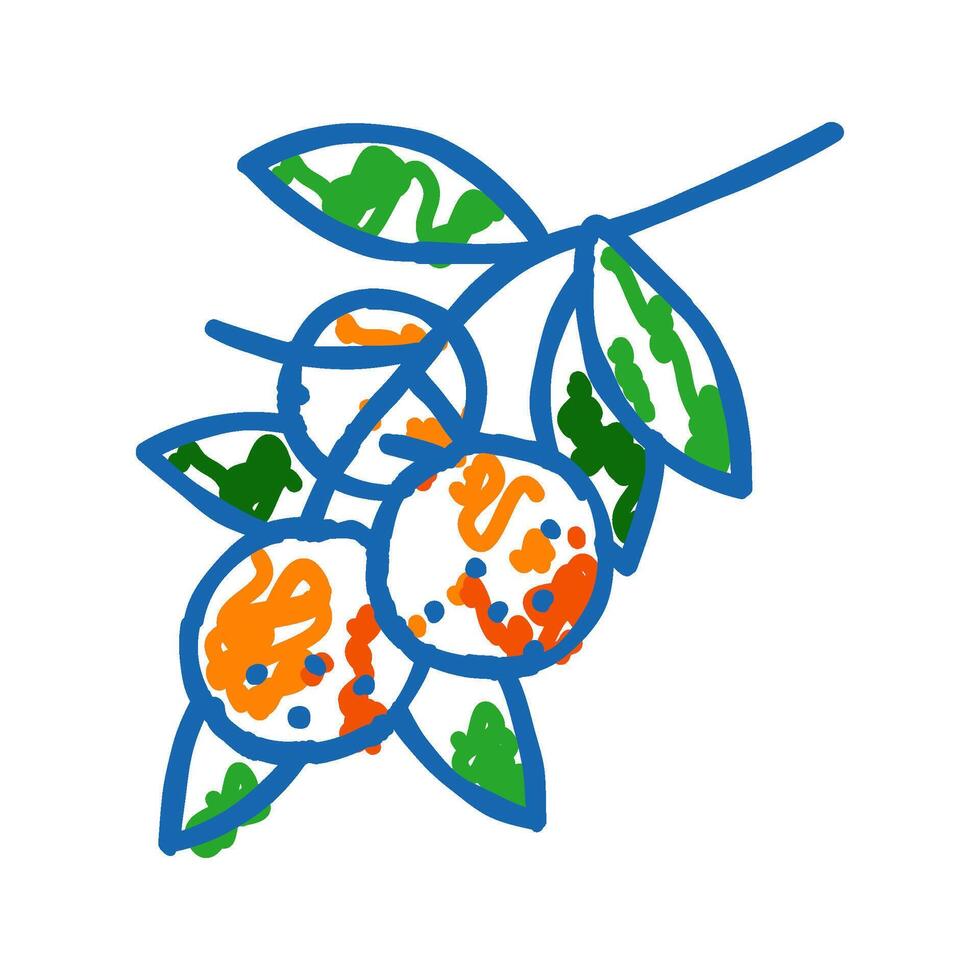 branch mandarin orange icon doodle illustration vector