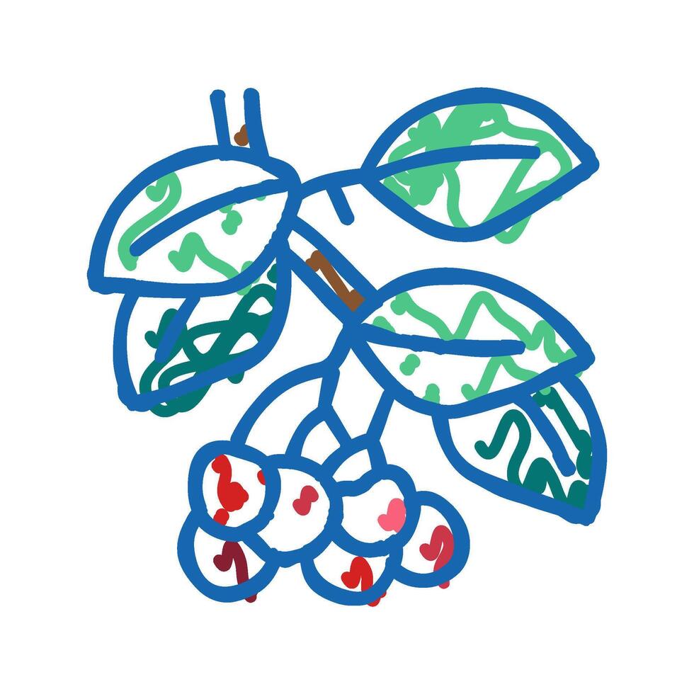 cherry branch icon doodle illustration vector