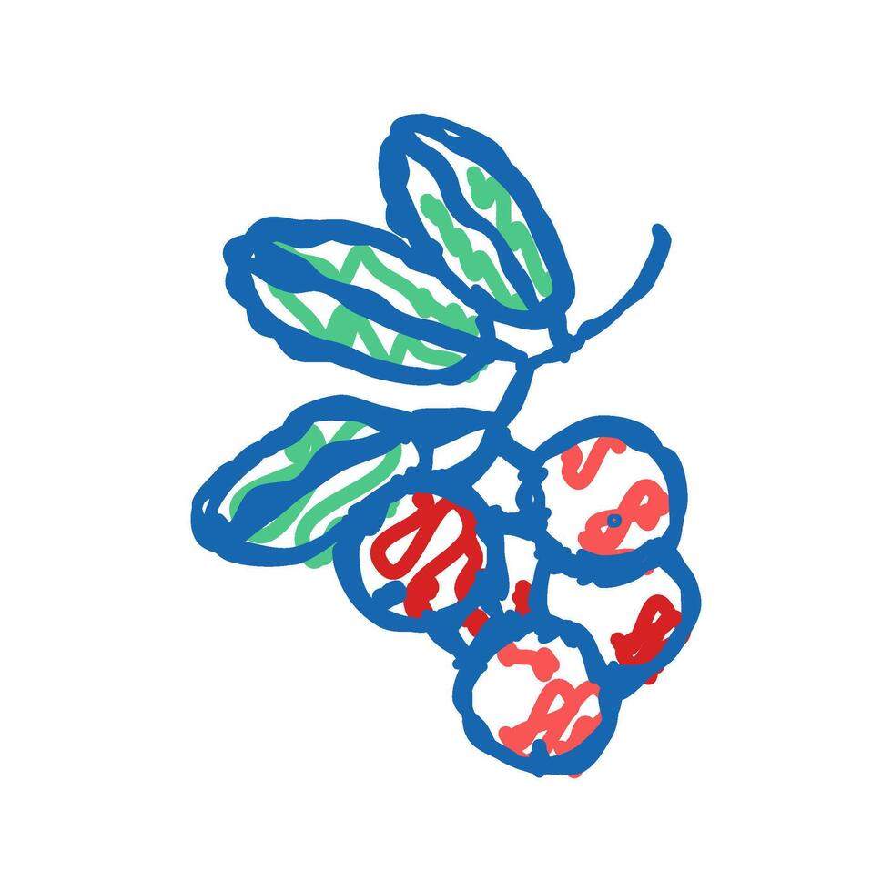lingonberry berry icon doodle illustration vector