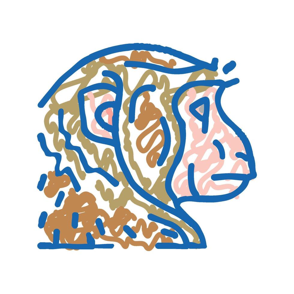 monkey animal zoo icon doodle illustration vector