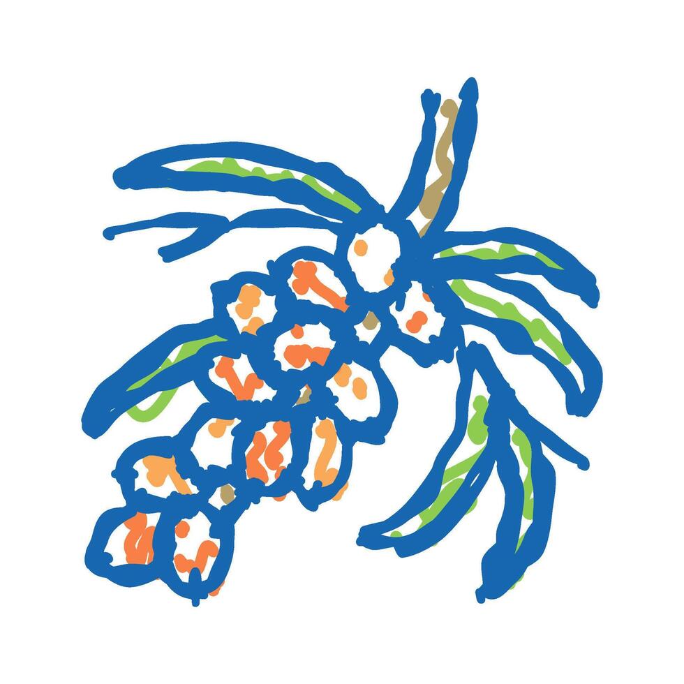 buckthorn berry tree branch icon doodle illustration vector