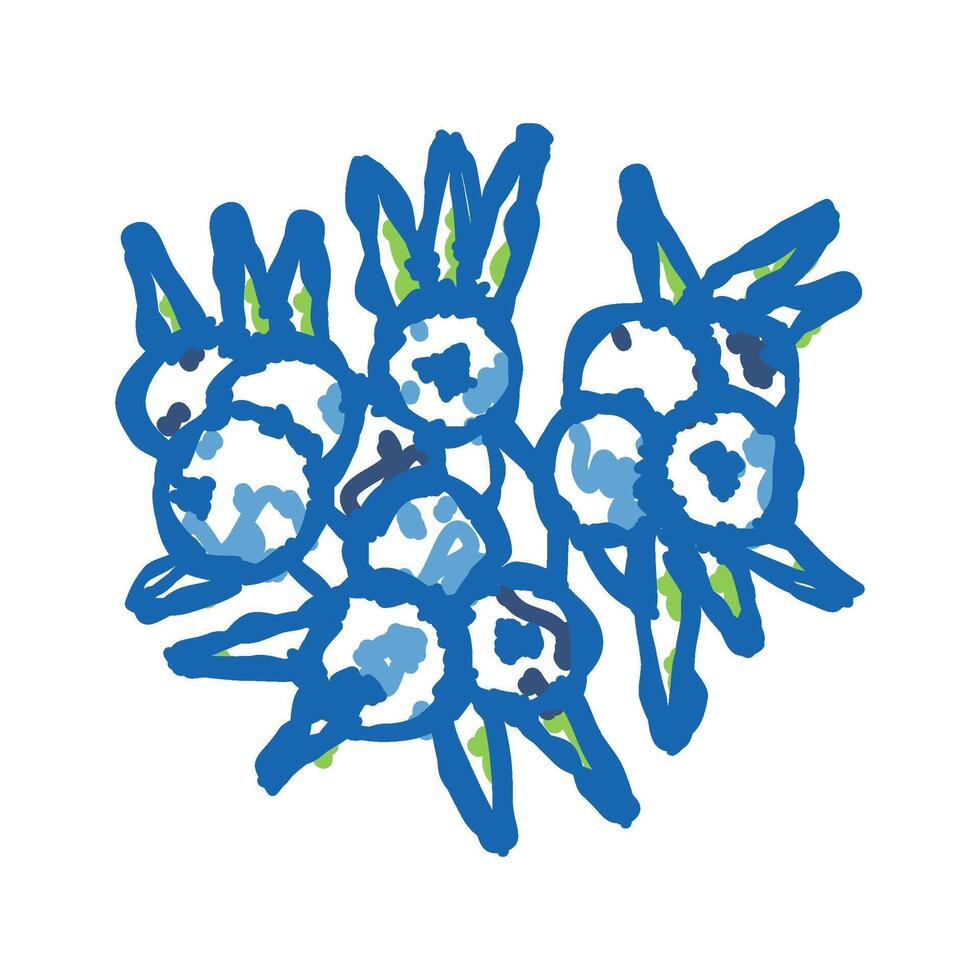 juniper berry icon doodle illustration vector