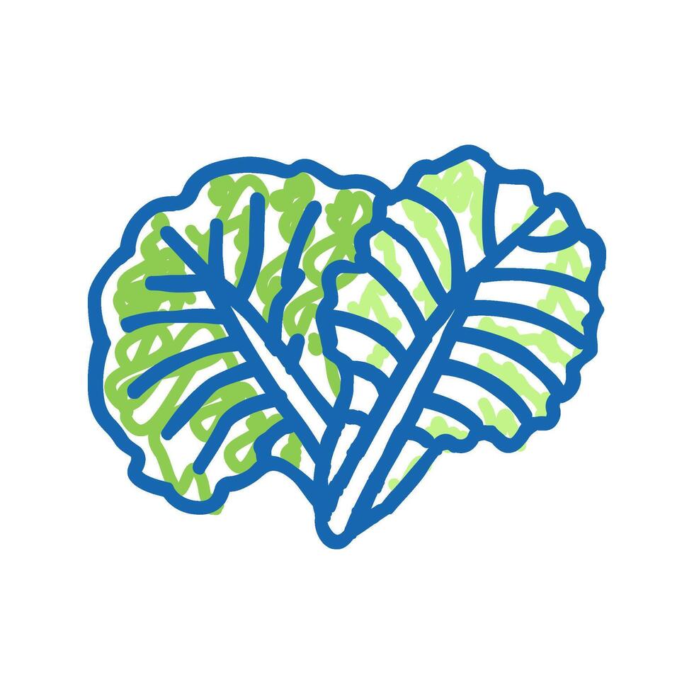 leaf cabbage icon doodle illustration vector