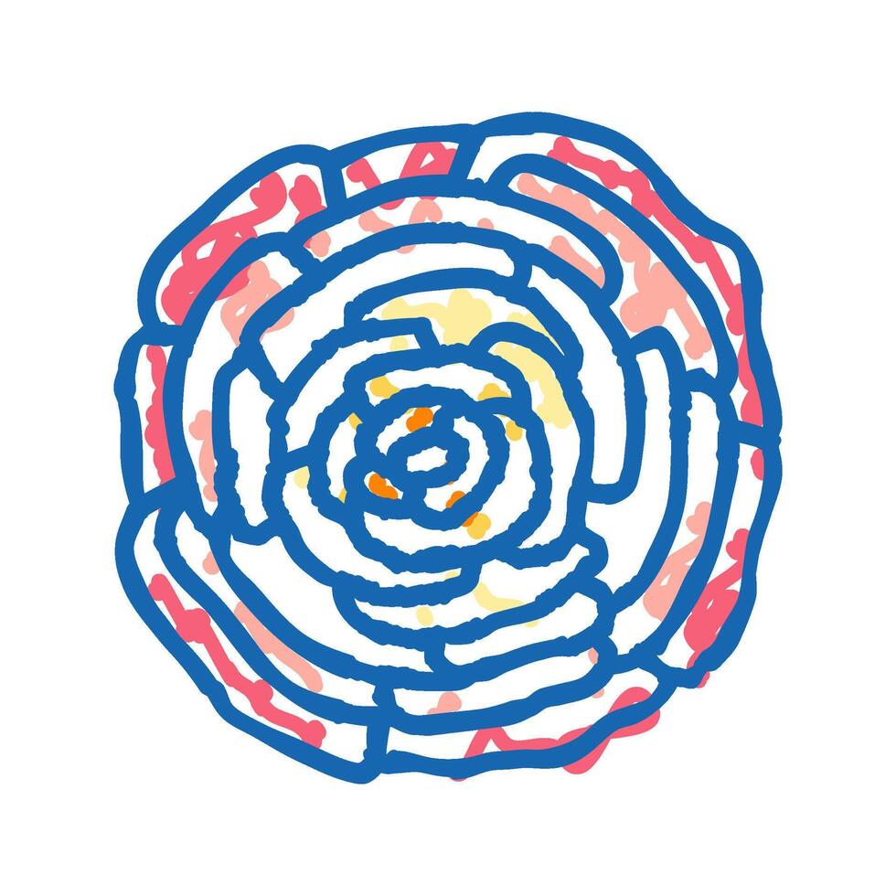 ranunculus flower spring icon doodle illustration vector