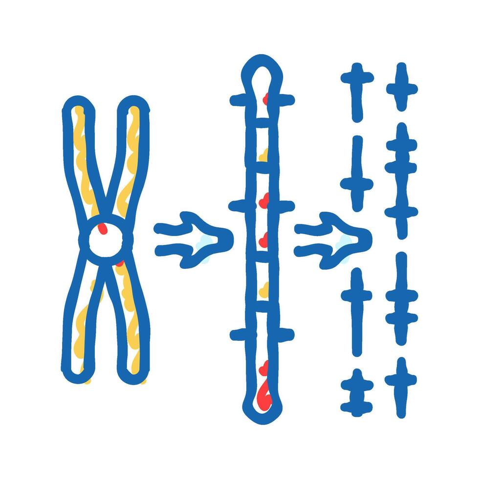 gene mapping cryptogenetics icon doodle illustration vector
